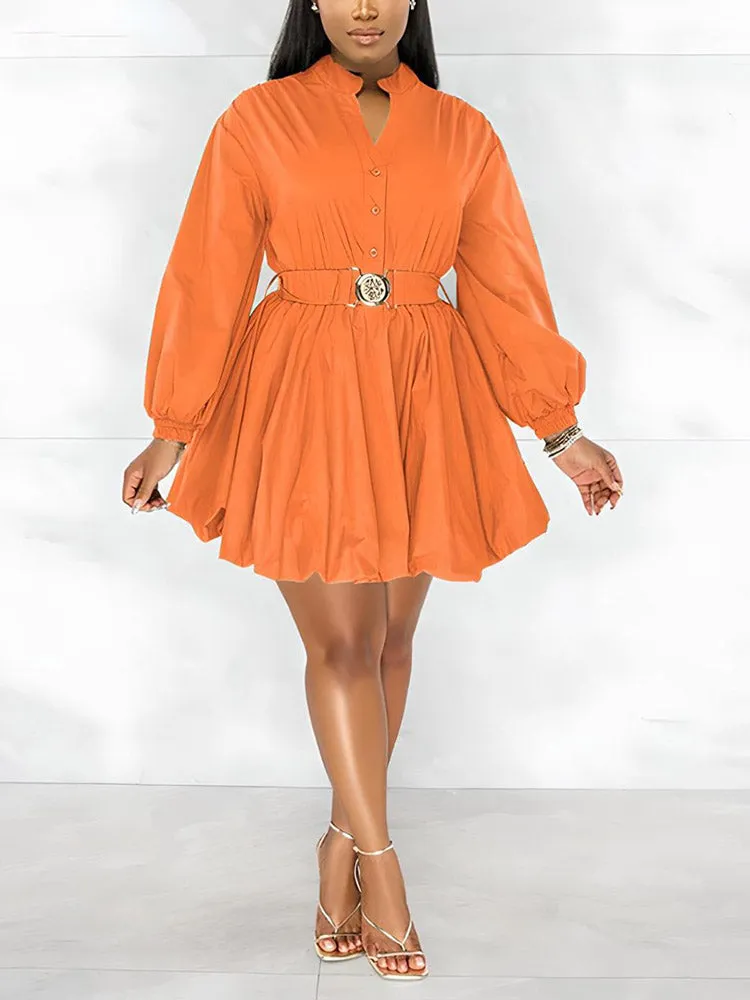 Belted Puffy Sleeve Dress